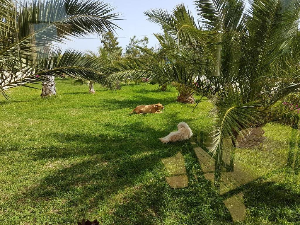 Les Jardins De Mogador Yoga Et Spa Esauira Exterior foto